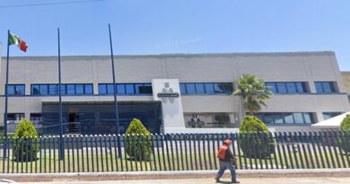 La Falta de Experiencia de Niels Cortés Hunde a Transformación Sindical en Martinrea
